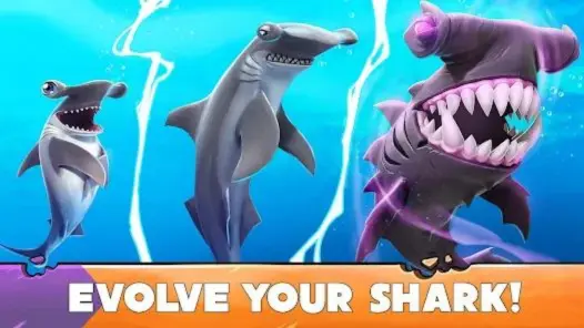 Evolve your Shark